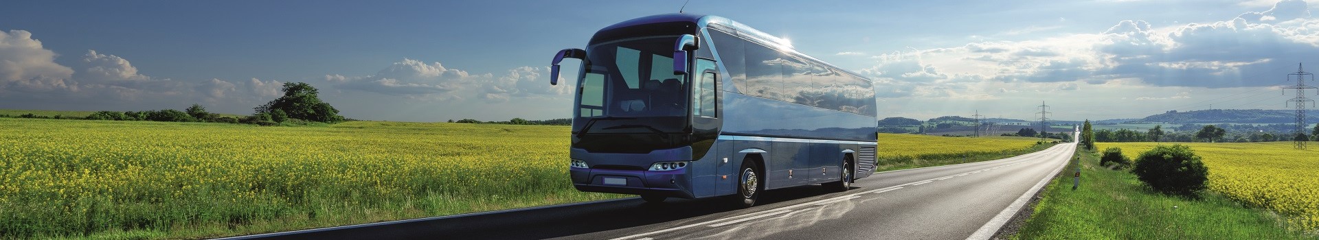 Reisebus ©am - stock.adobe.com Master ©am - stock.adobe.com