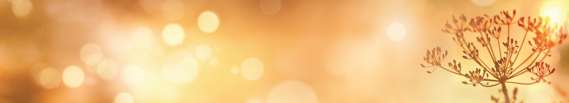 ©gudrun - stock.adobe.com ©gudrun - stock.adobe.com