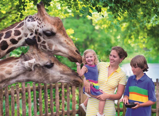 ©famveldman - stock.adobe.com